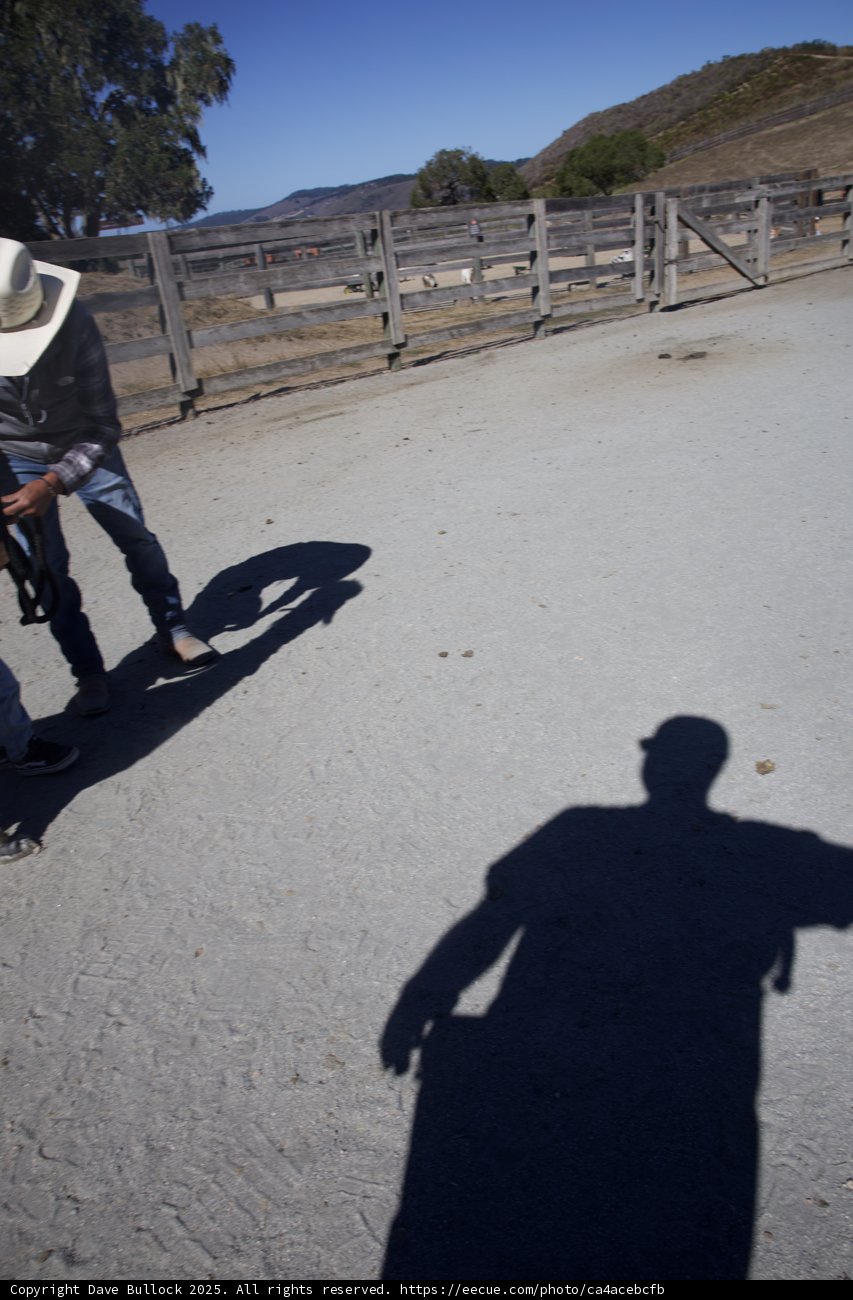 Shadows and Sun Hats at Carmel Valley