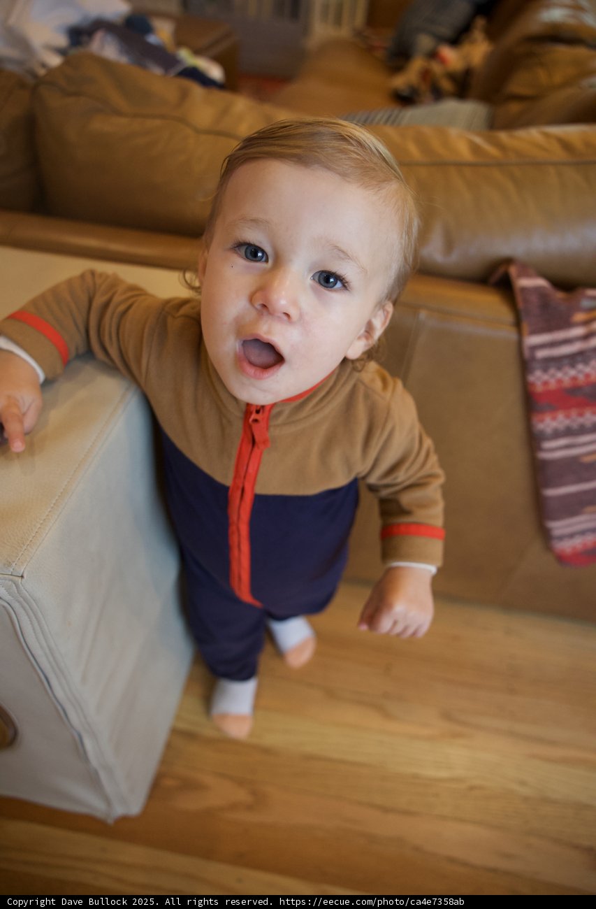Curious Explorer Discovering the World at Thistlewyck