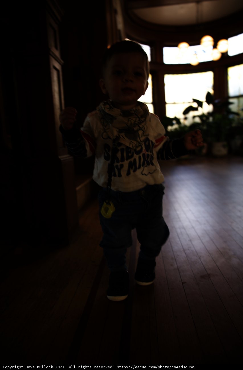 Little Explorer