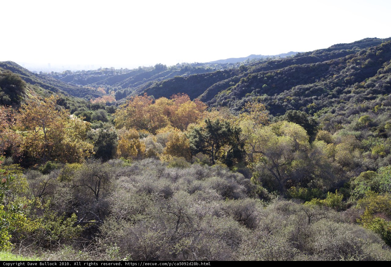 Scenic View of the Wilderness