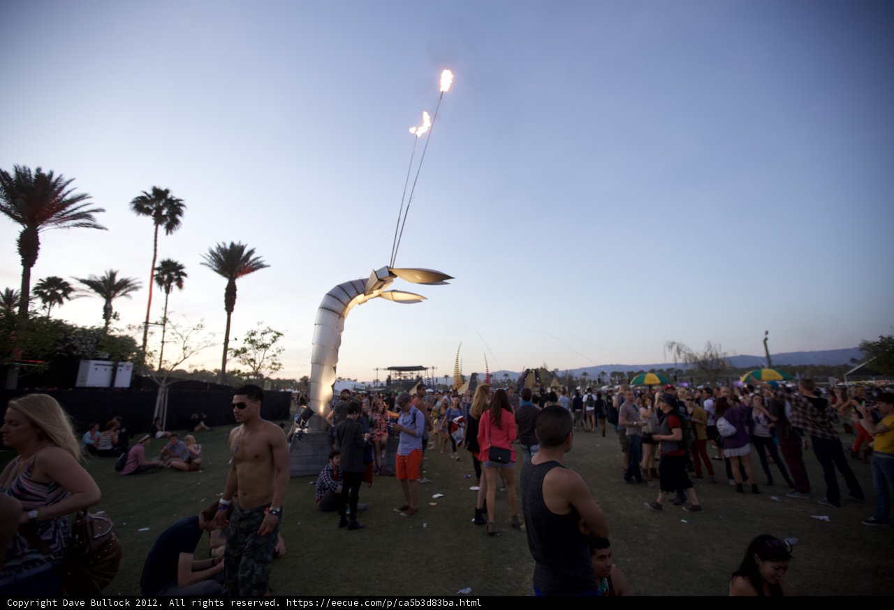 The Gathering at the Coachella Festival
