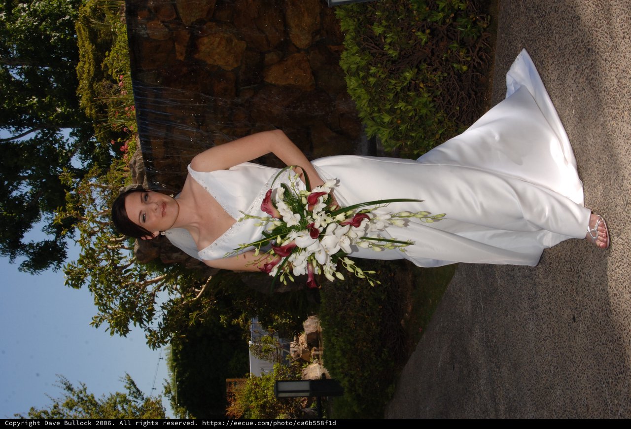 Radiant Bride Poses Before Garden Waterfall Feature