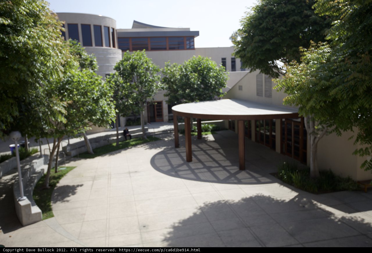 Serene Courtyard Retreat