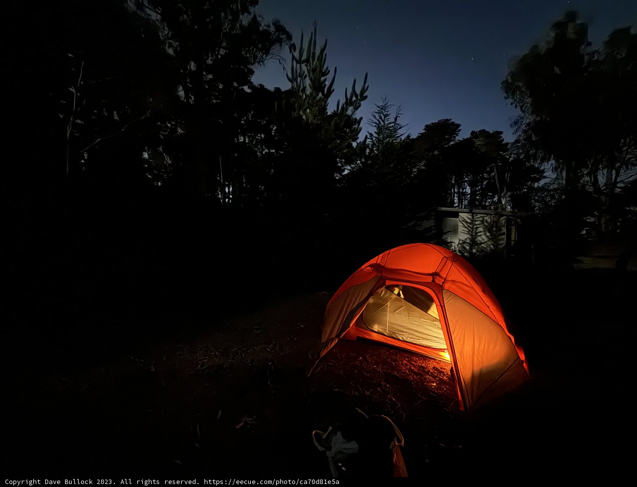 Starry Serenity: A Night Under the Presidio Sky