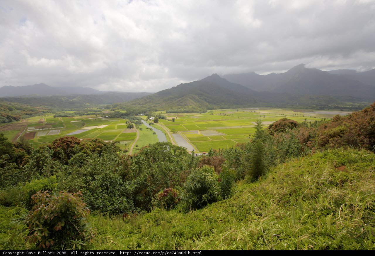 Majestic View of the Countryside