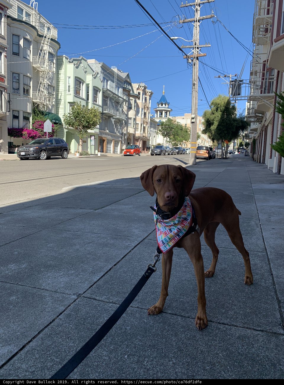 City Stroll with My Best Friend