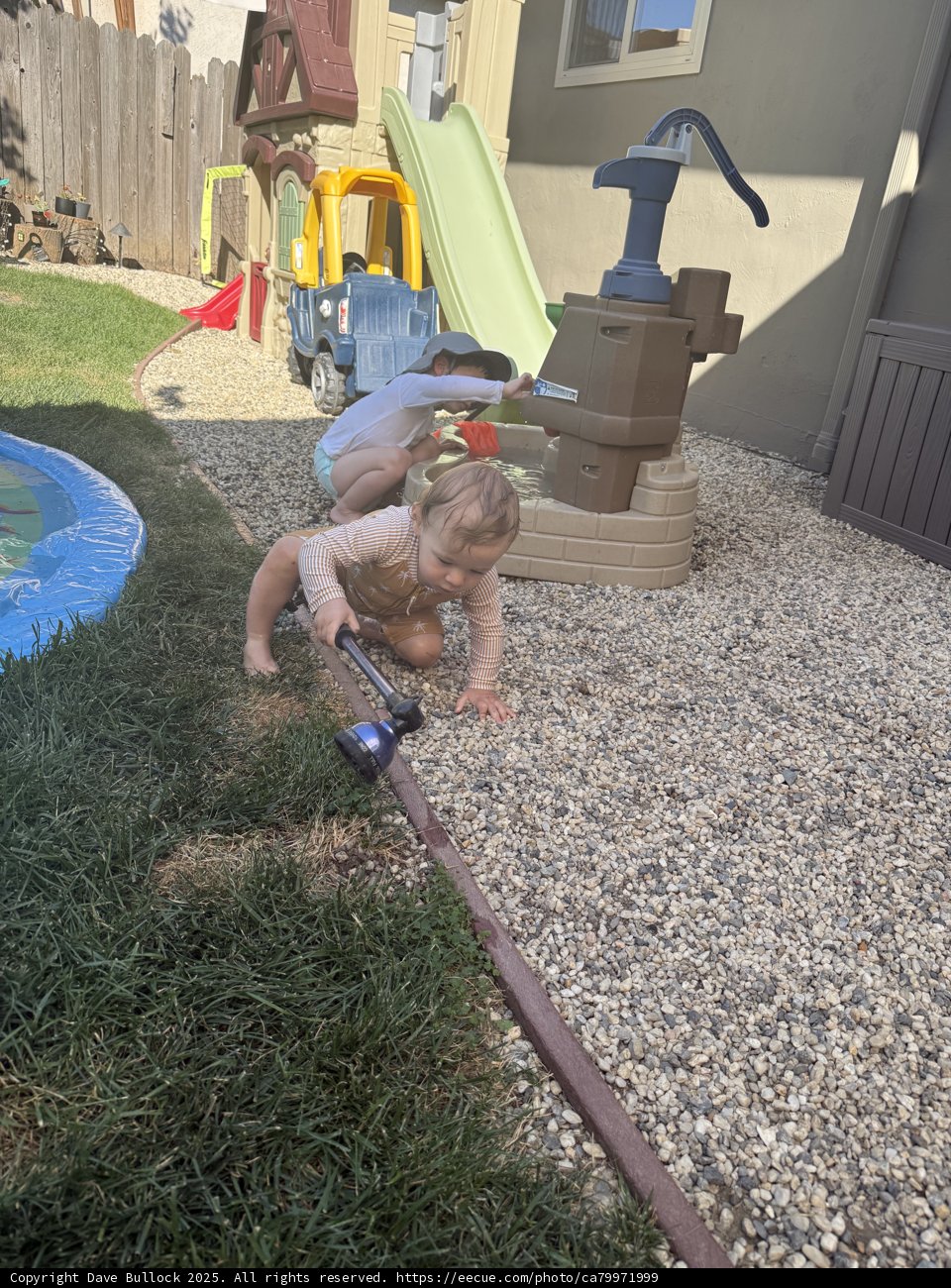 Backyard Adventures