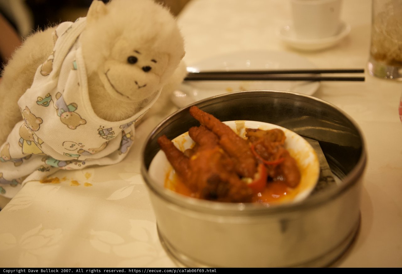Monkey's Lunchtime Companion