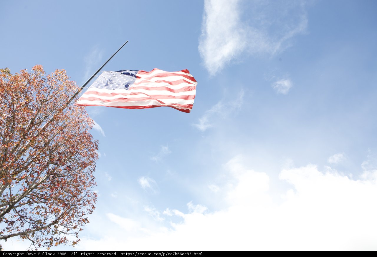 Old Glory in the Breeze