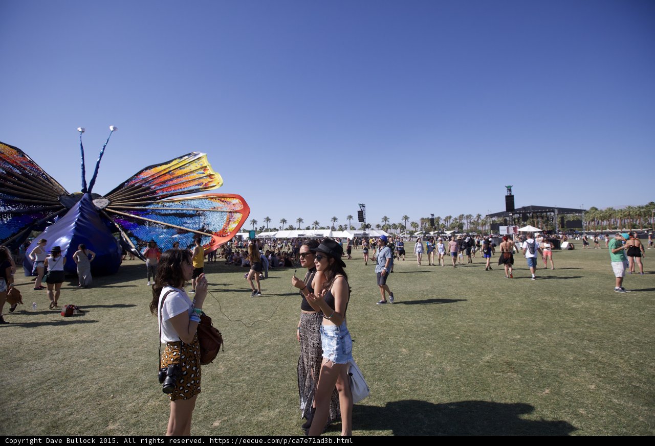 Festival Fun in the Sun