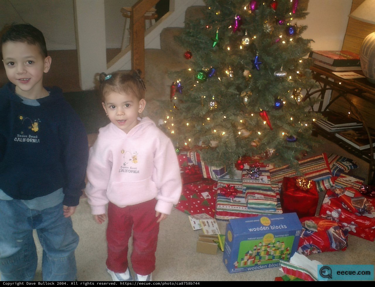 Christmas Joy