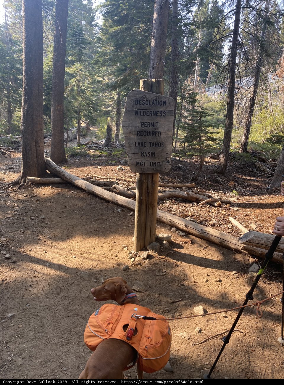 Trailblazing with Fido