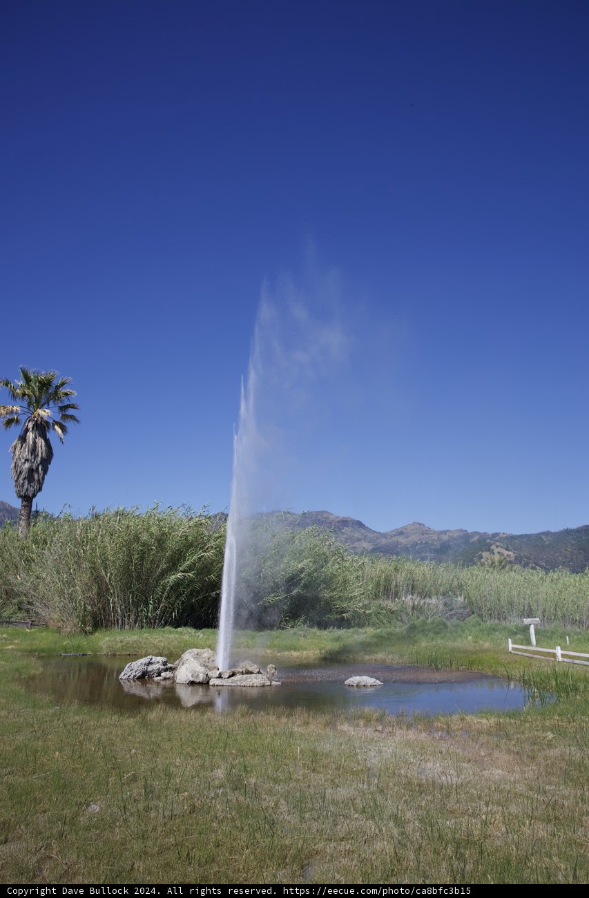 Eruption of Tranquility: Old Faithful Geyser of Calistoga