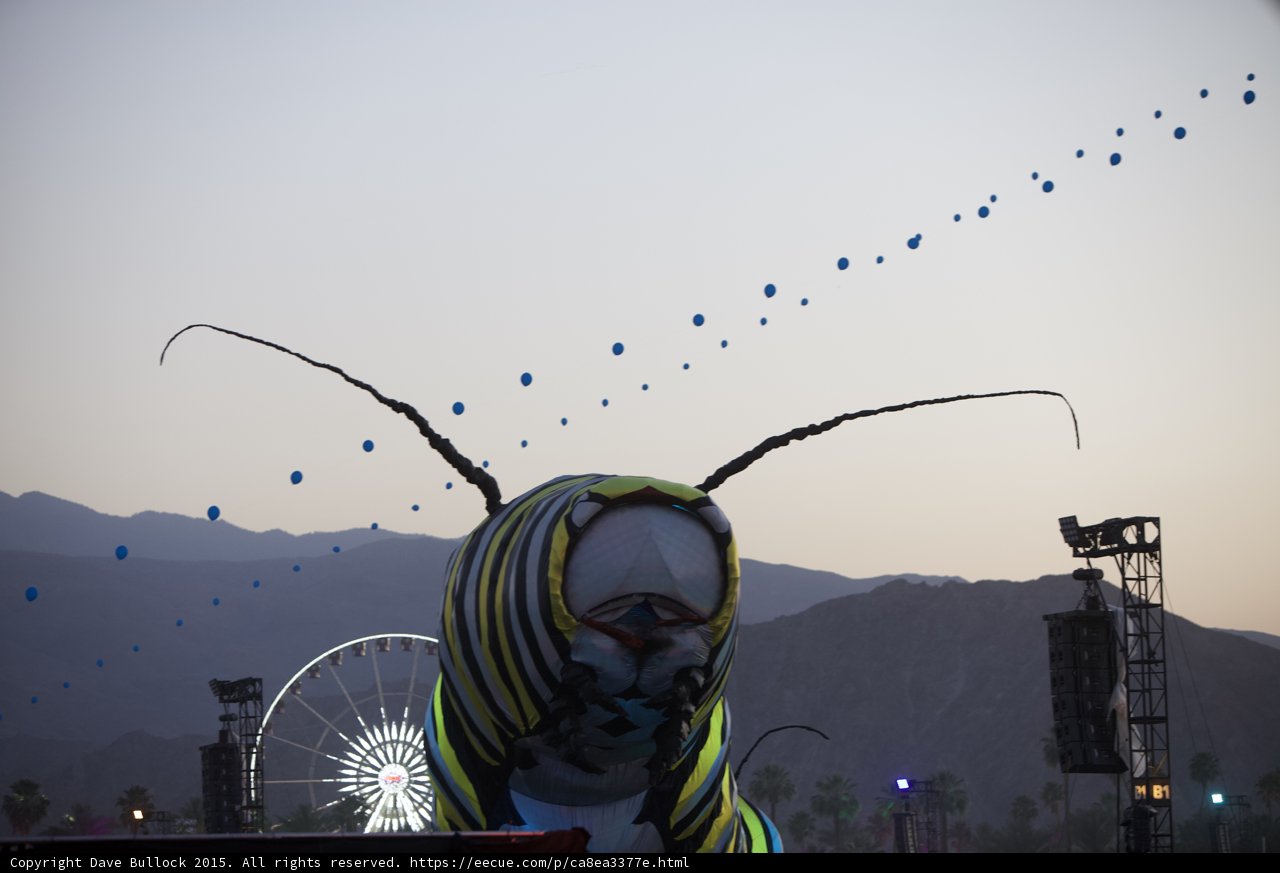 Mystery Man at Coachella