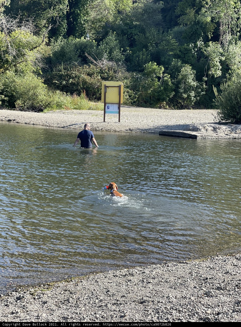 Fun in the Sun at Monte Rio Beach