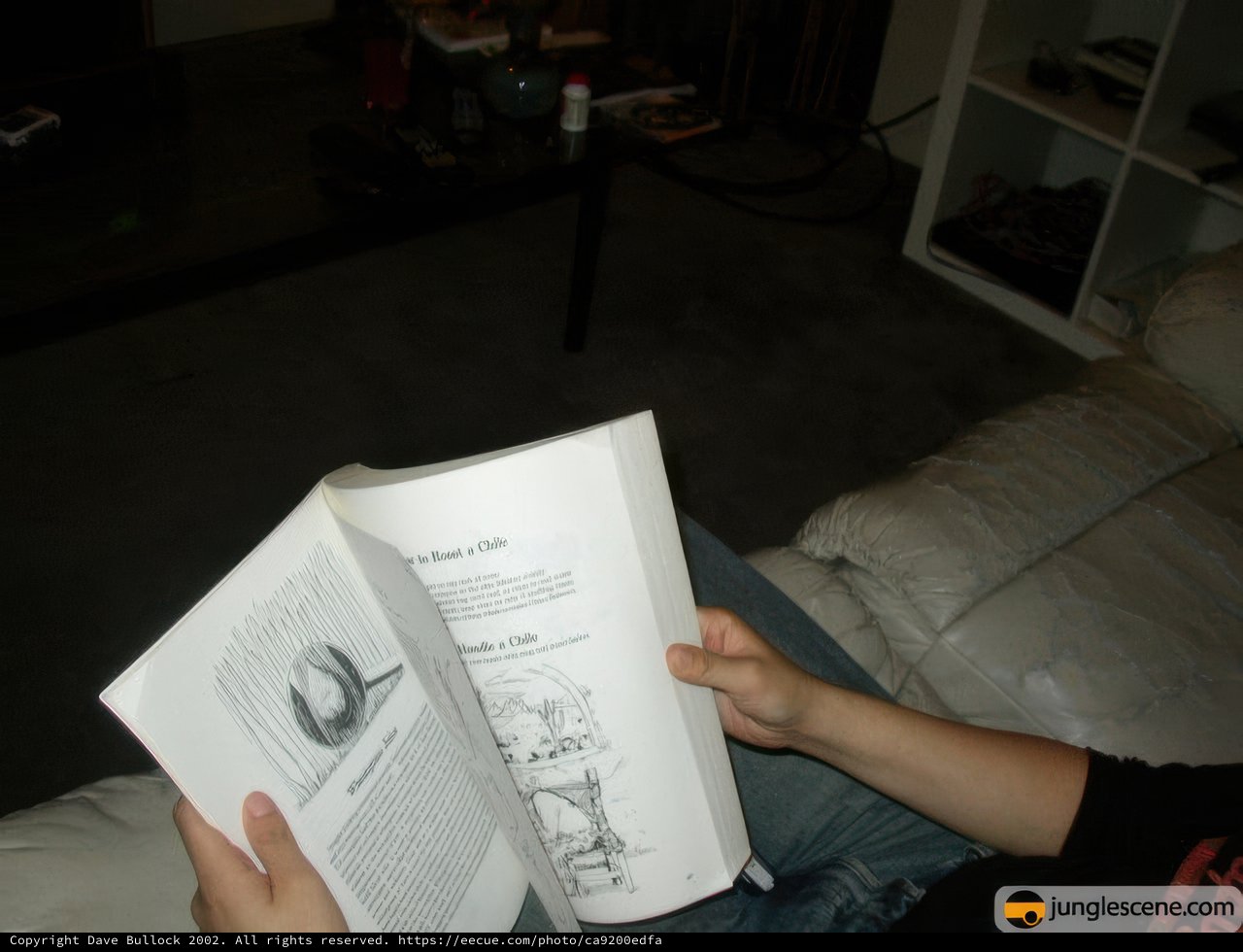 Reading on the Couch