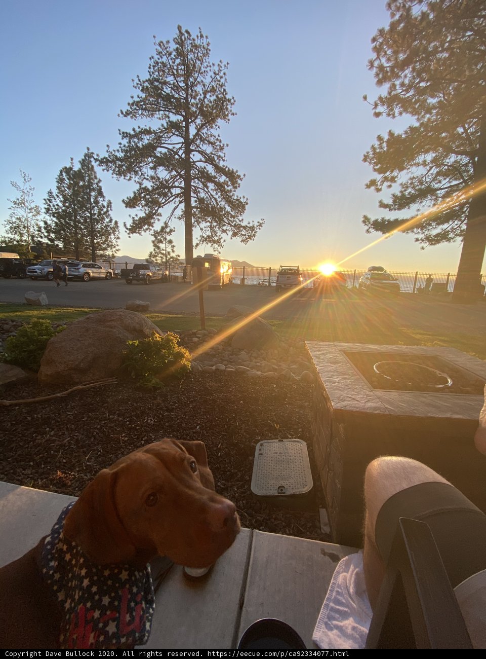 Sunset Bench Buddies