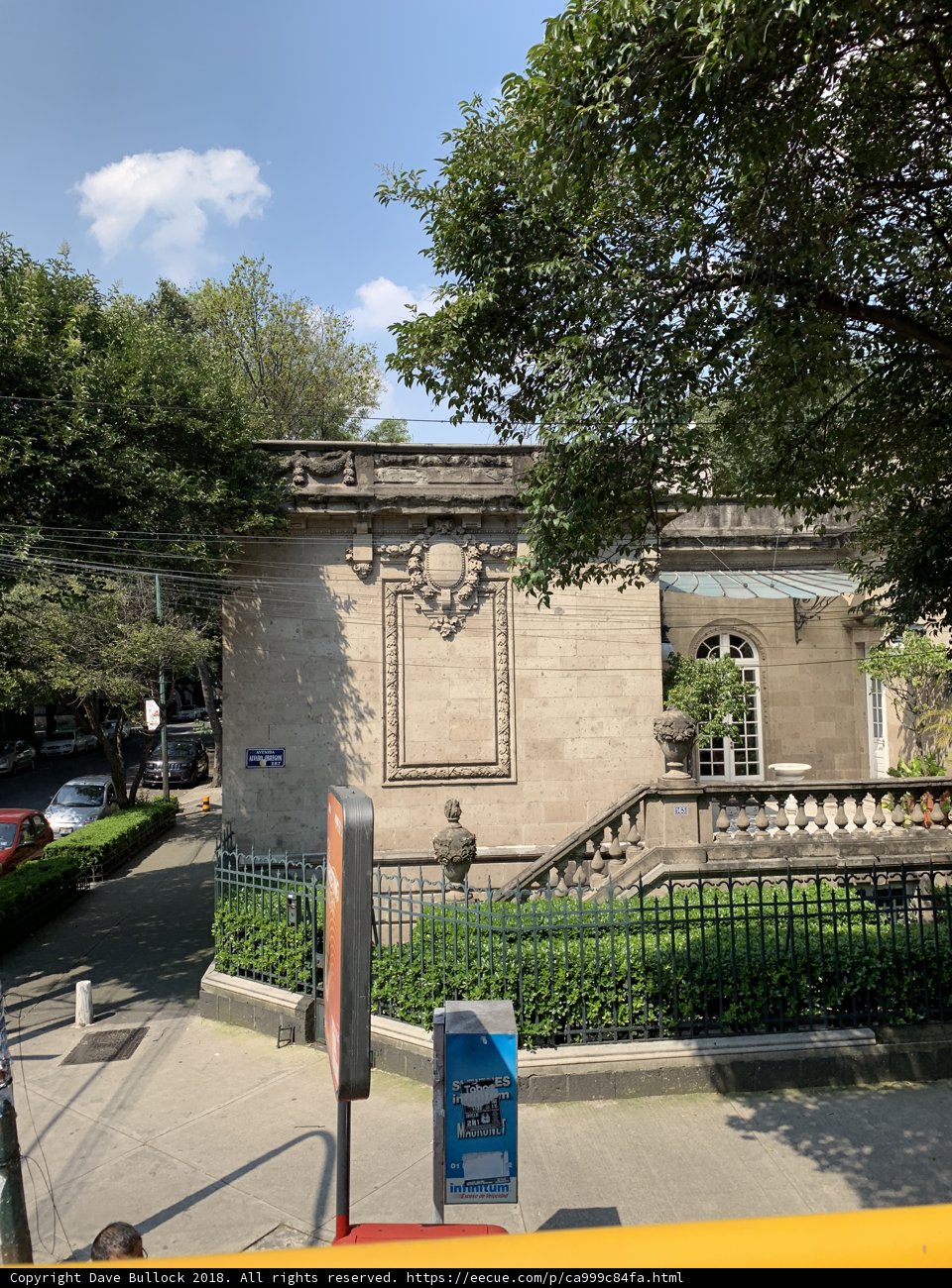 Stone Building and Tree in the City