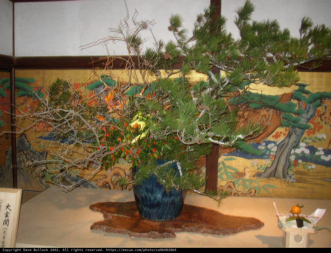 Blue Vase Bonsai