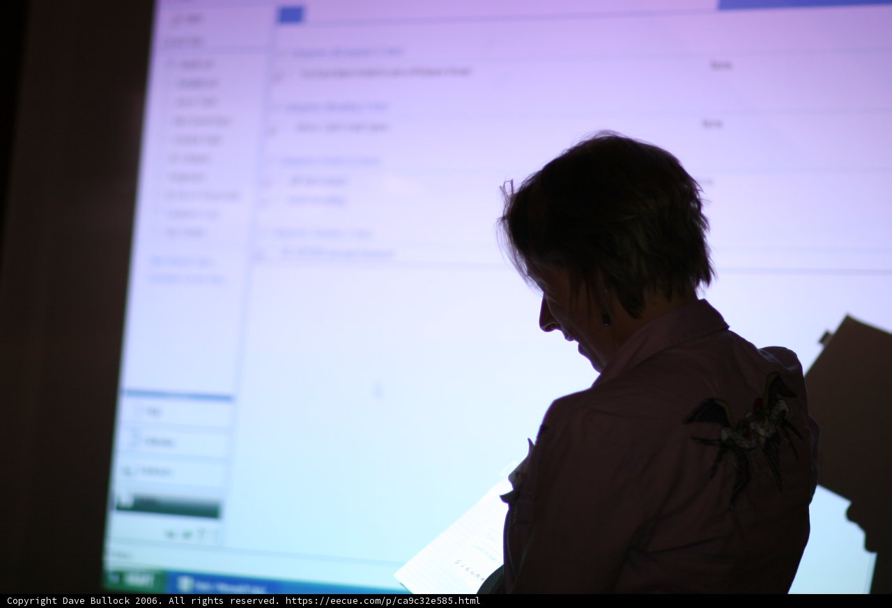 Woman engrossed in computer screen