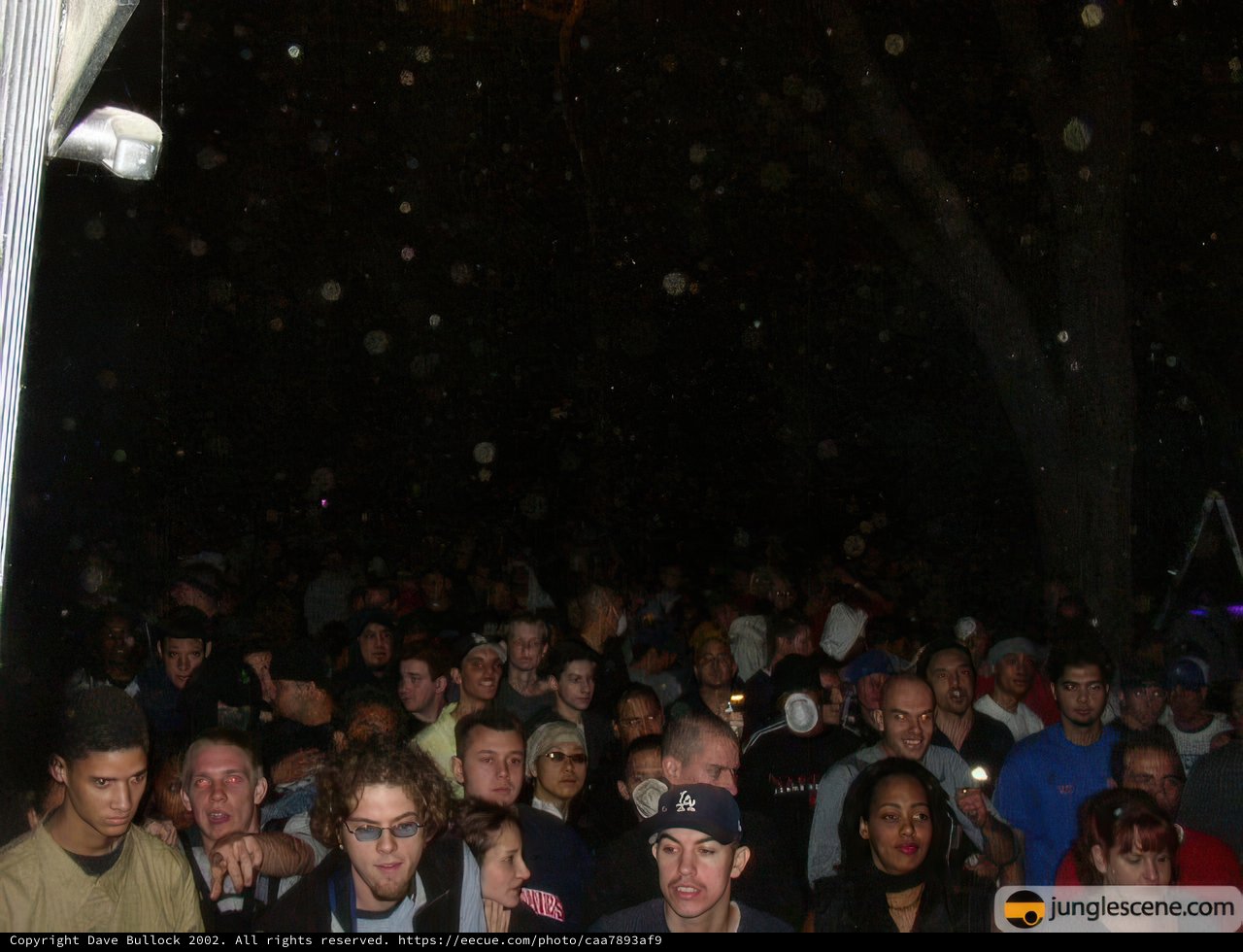Nightlife Crowd at Summer Dreams Concert