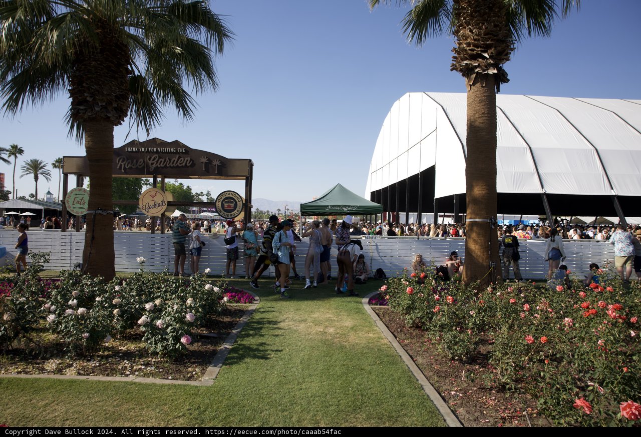 Sunshine and Style at Coachella 2024