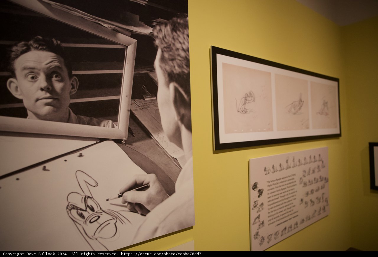 Deep Reflections at the Walt Disney Family Museum