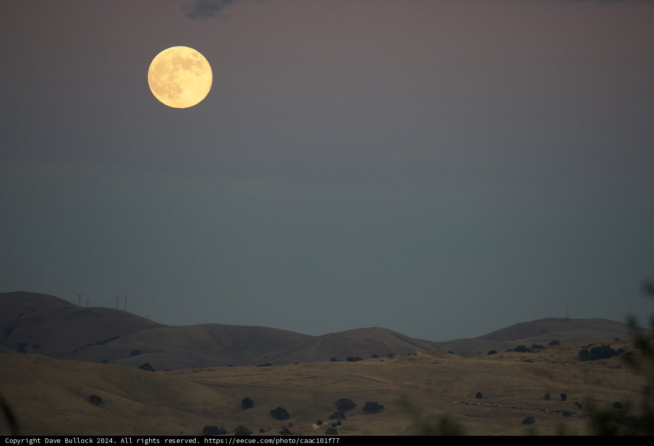 Luminescent Night Over Walnut Creek