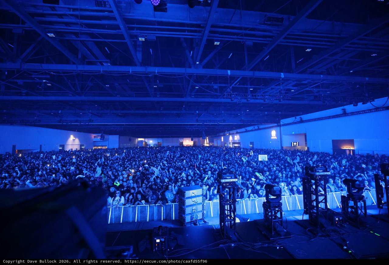 Massive Crowd Bathed in Blue at Wobbleland 2026