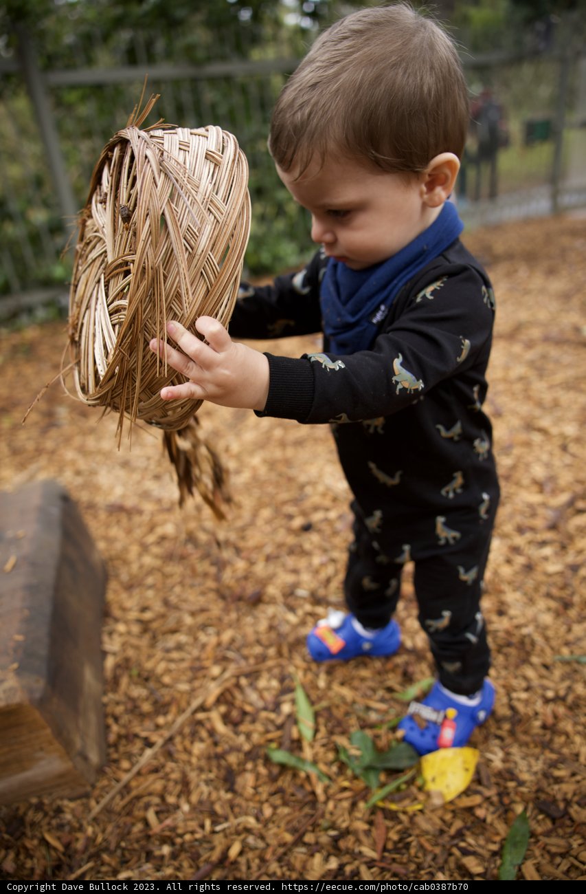 Childhood Harvest: Moments in Golden Gate Park