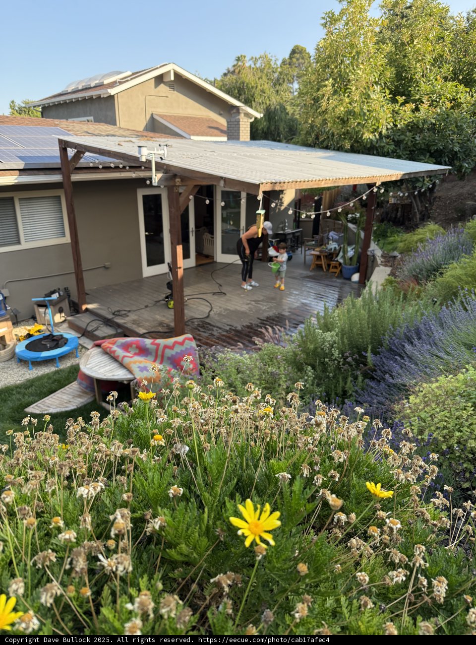 Summer Afternoon Serenity