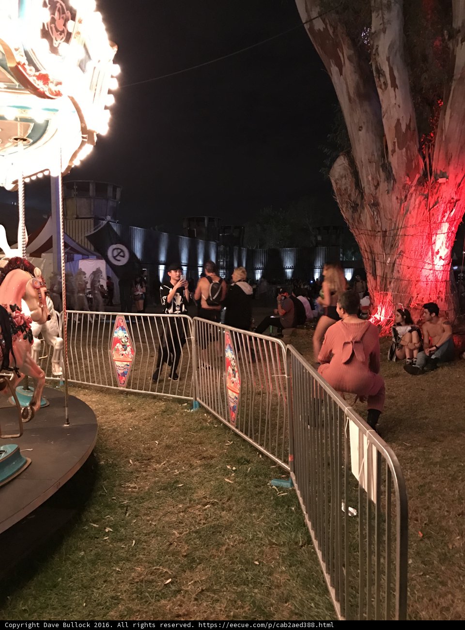 Nighttime Carousel Fun