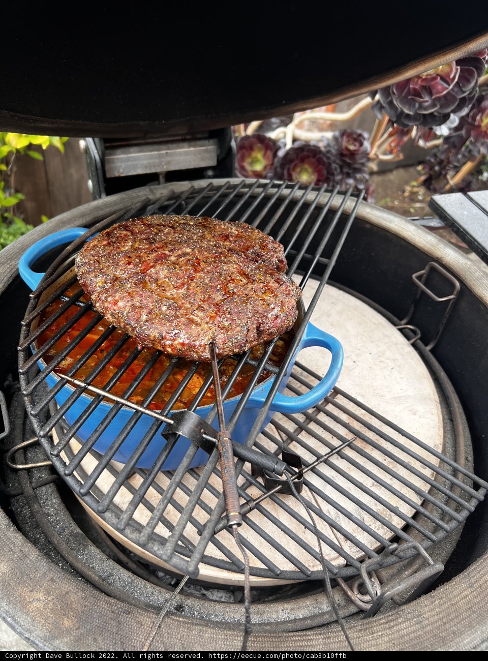 Pork Steak Grilling on the Appliance