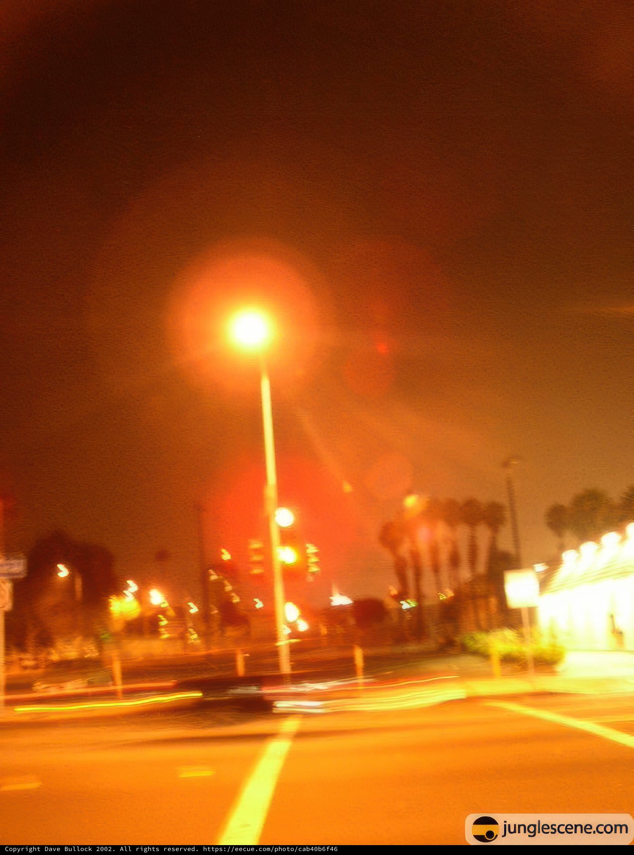 Blurry Street Light at Night