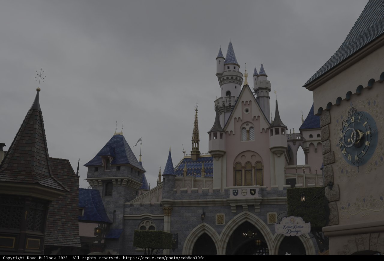 Majestic Disneyland Castle in the Rain