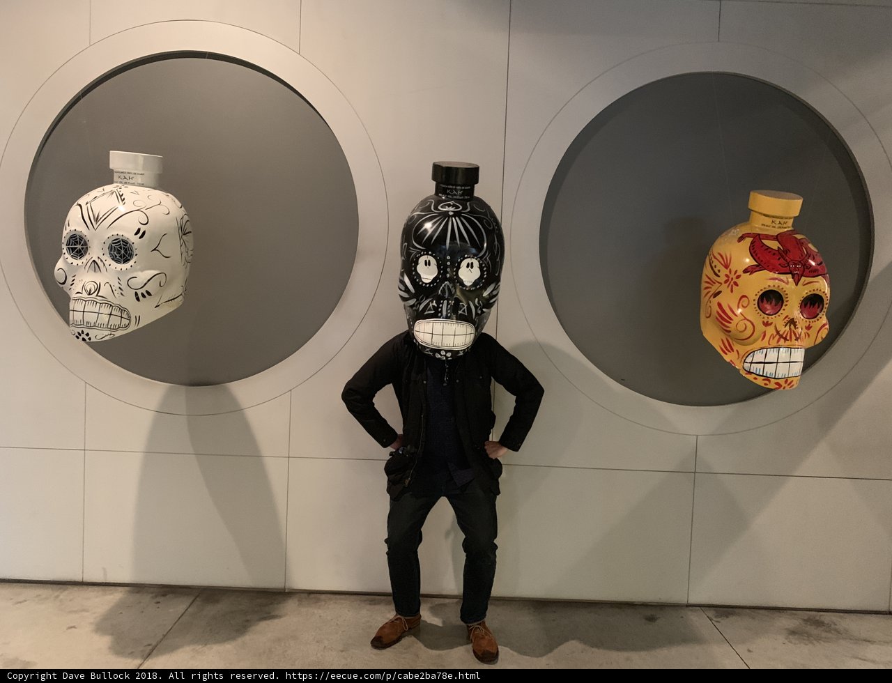 Skulls and Art