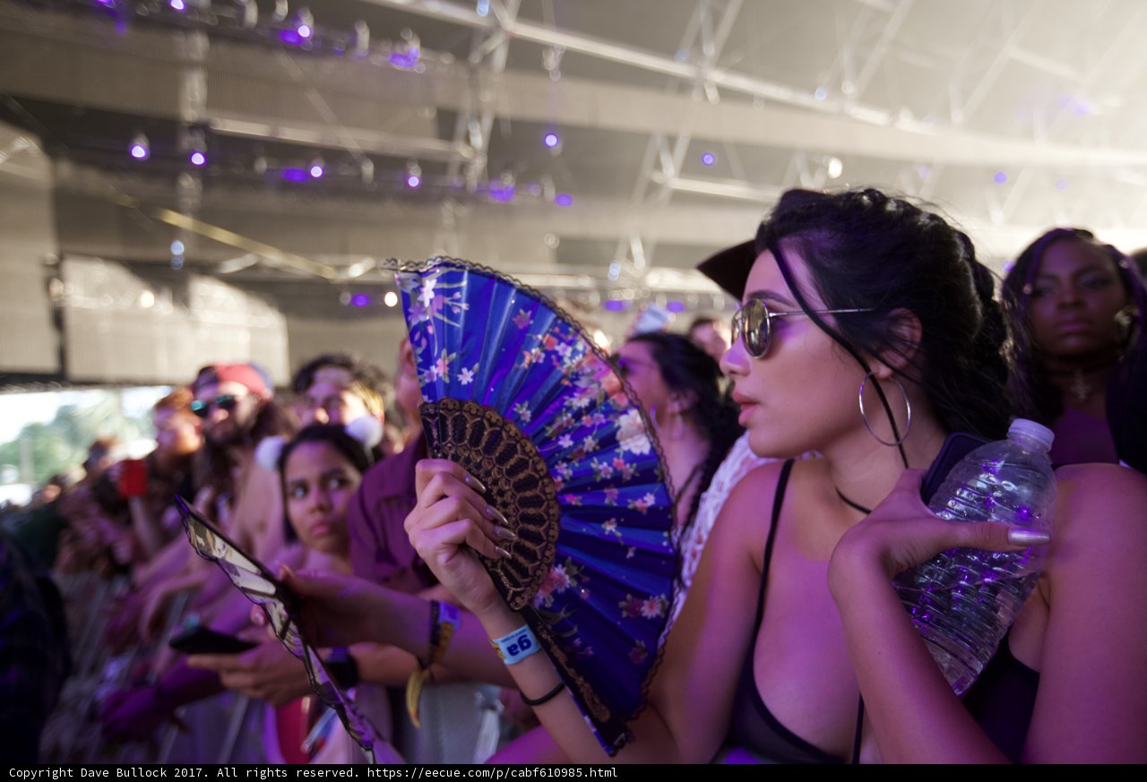Summer Vibes at Coachella