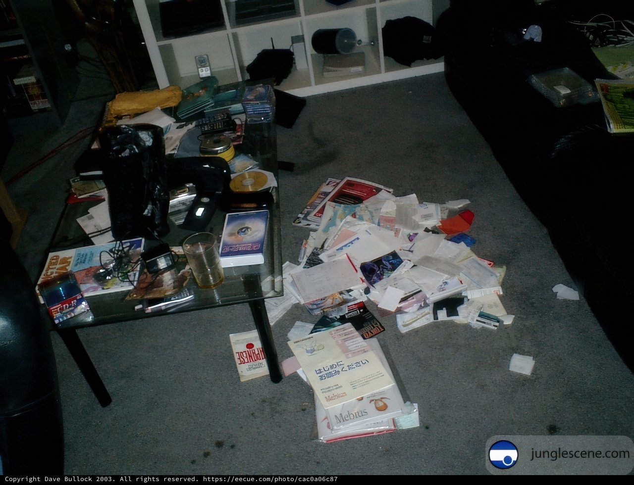 Chaos in the Living Room