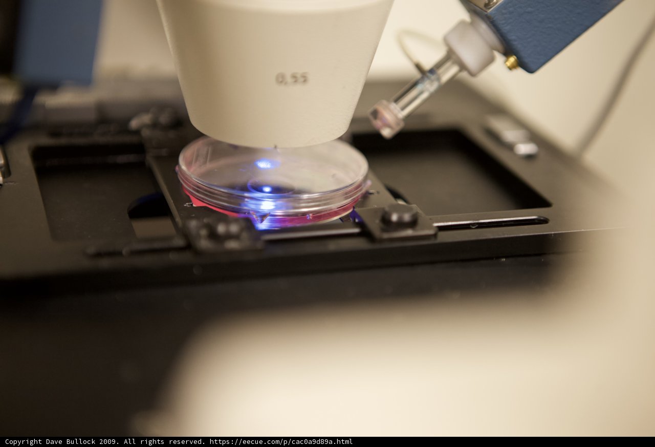Blue Light Microscope