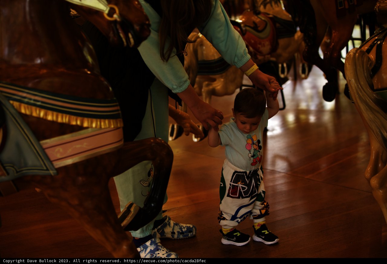 Serene Stroll Through The Carousel