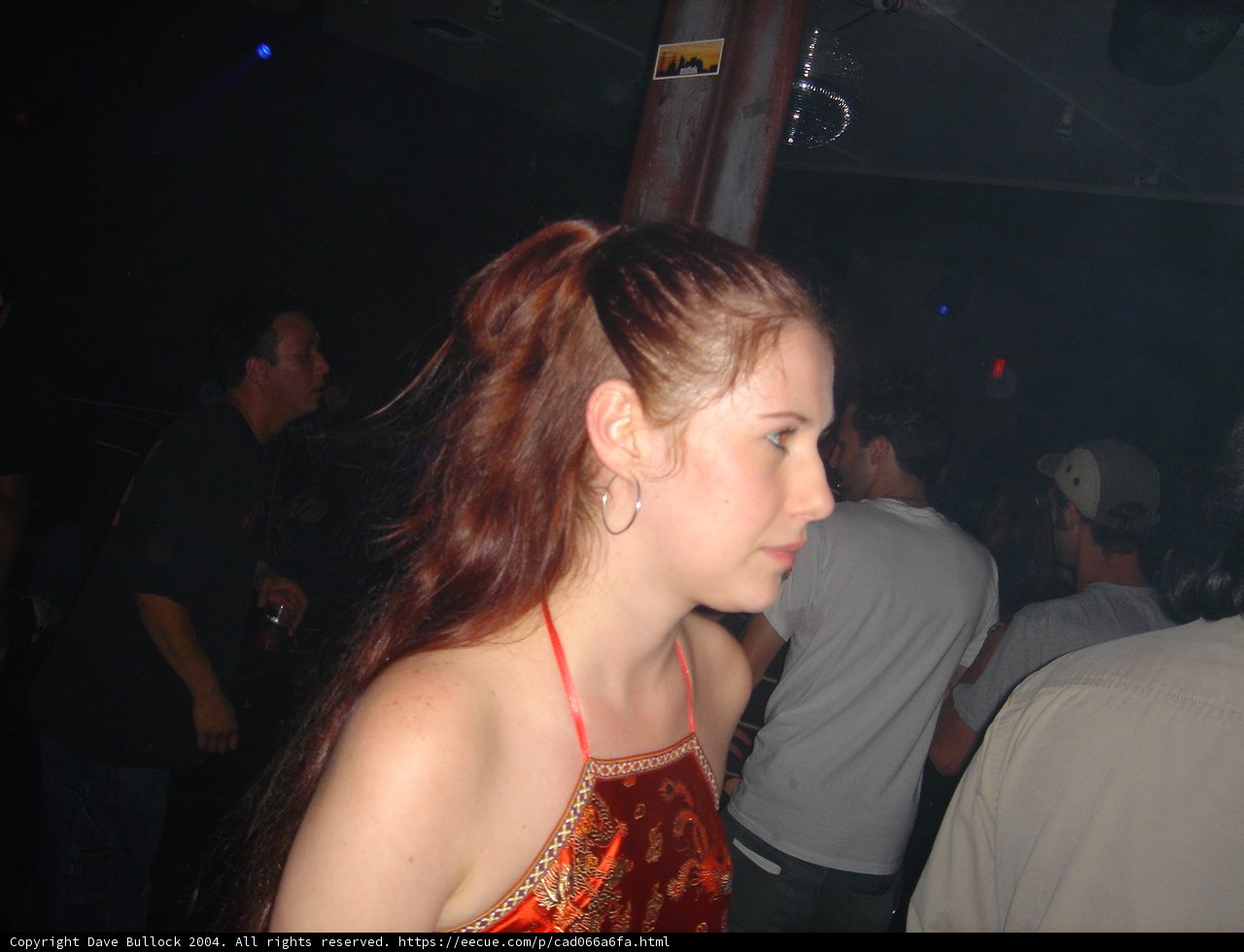 Red-Haired Woman in a Nightclub