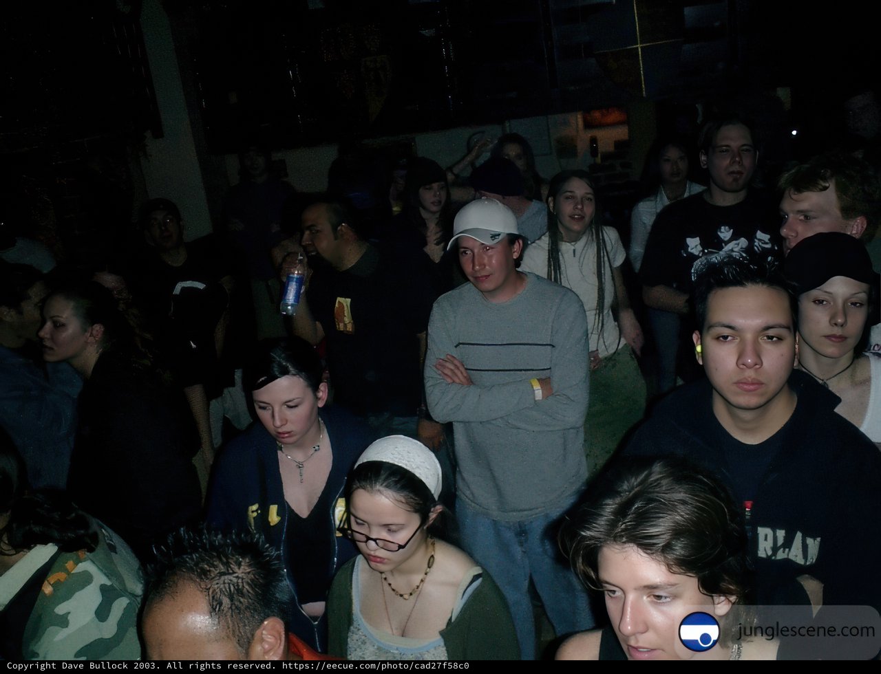 Nightclub Crowd