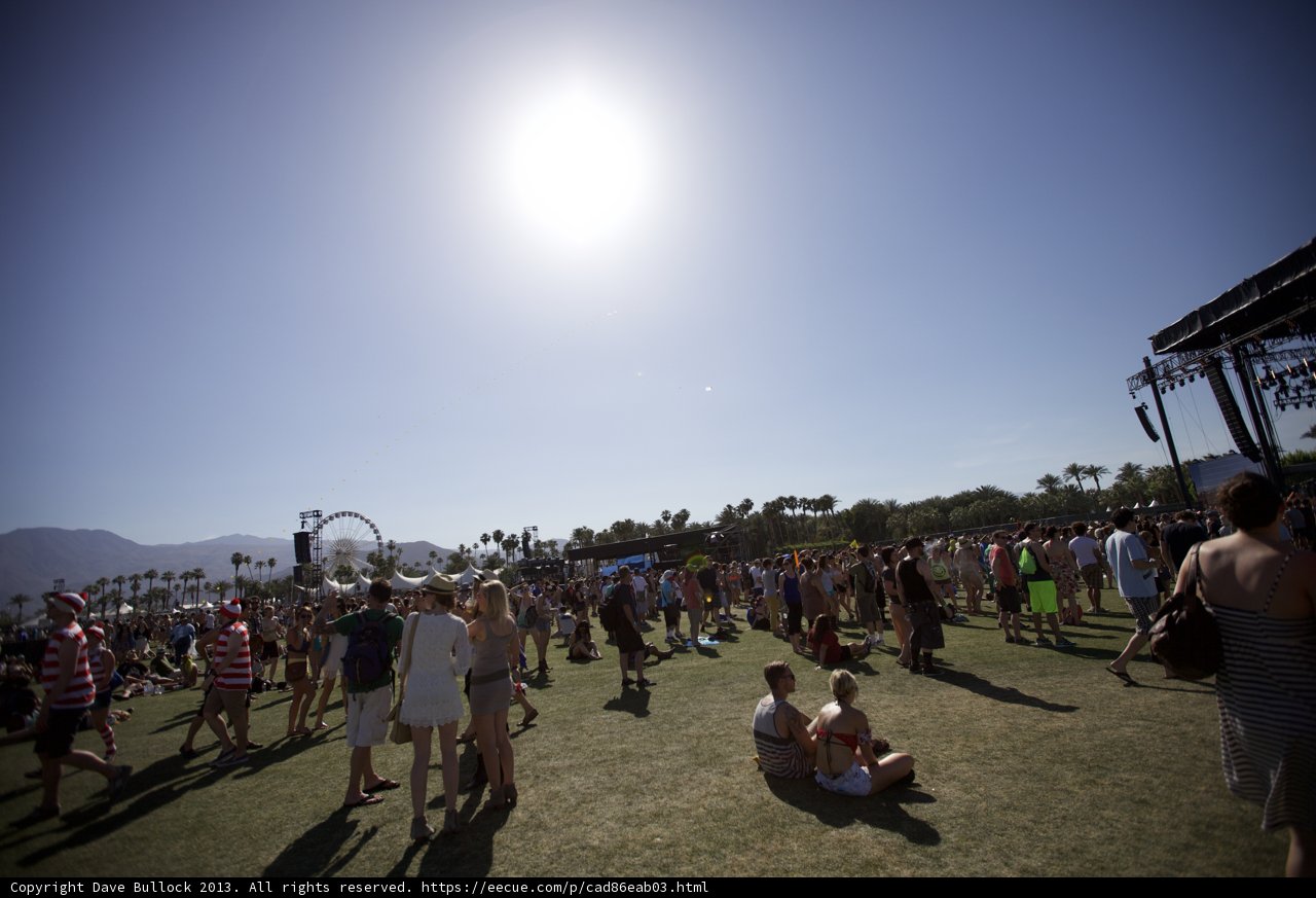 The Festival Crowd