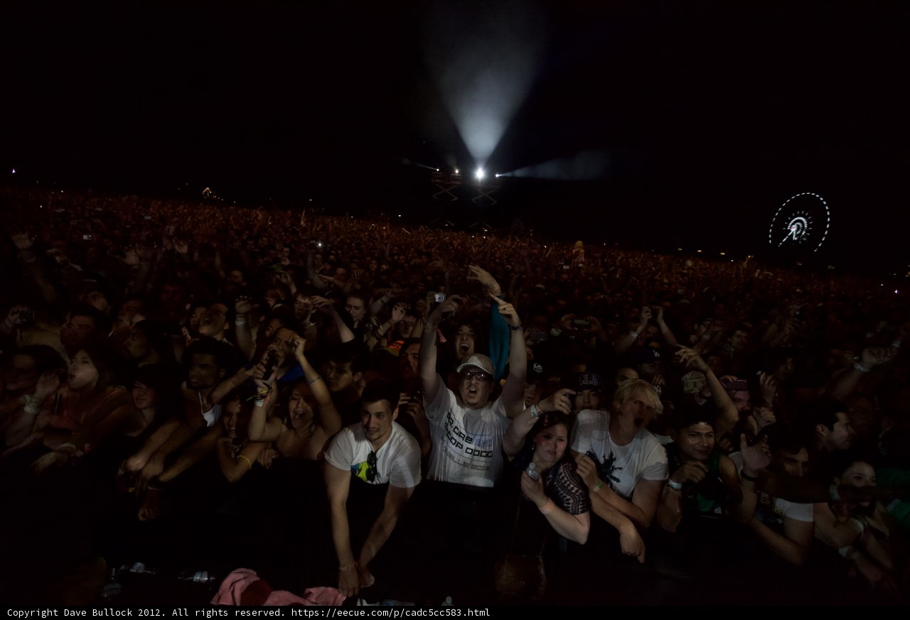Hands Up at Coachella