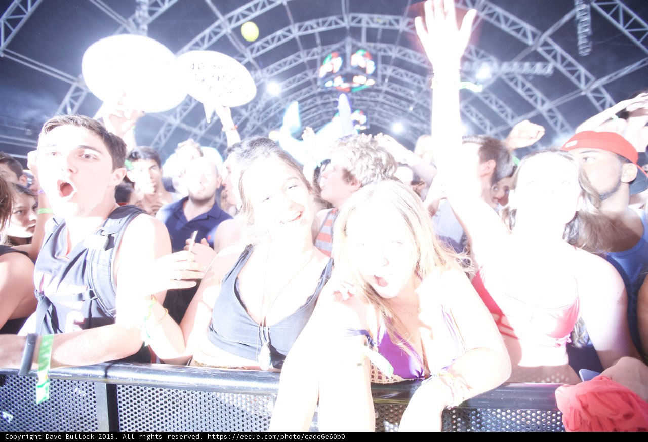 Coachella Music Festival Crowd Goes Wild