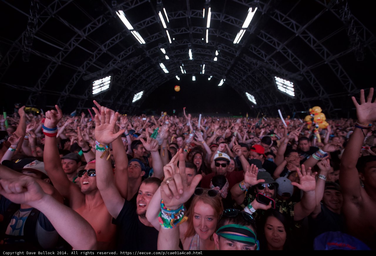 Hands Up at Coachella