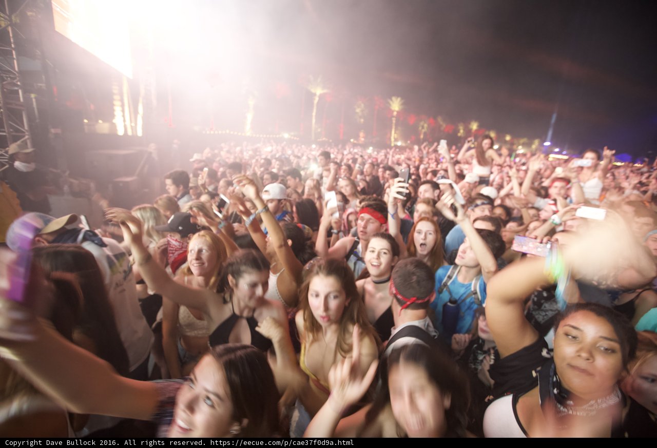 Crowd of Fun-seekers at Coachella 2016