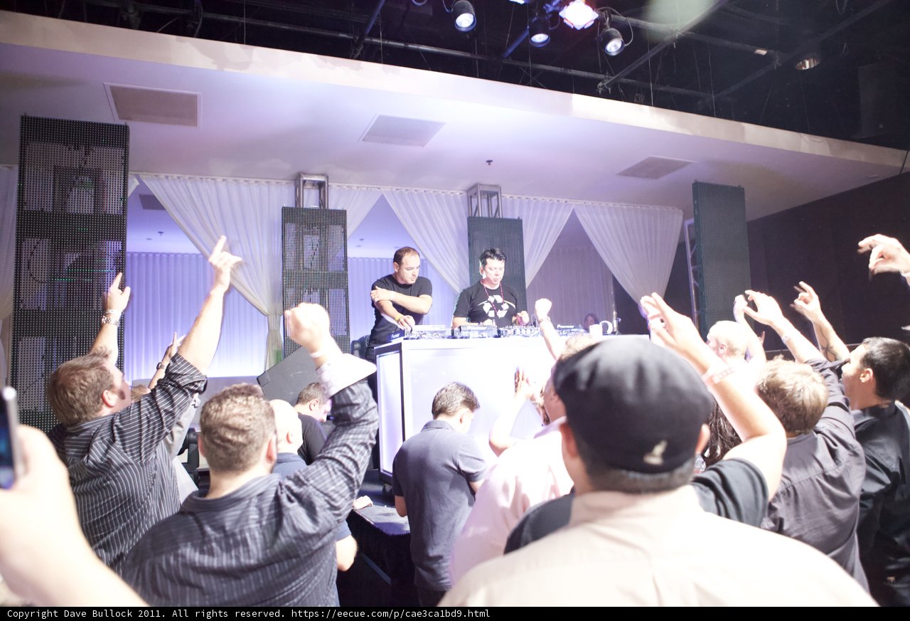 Partygoers with Hands Up