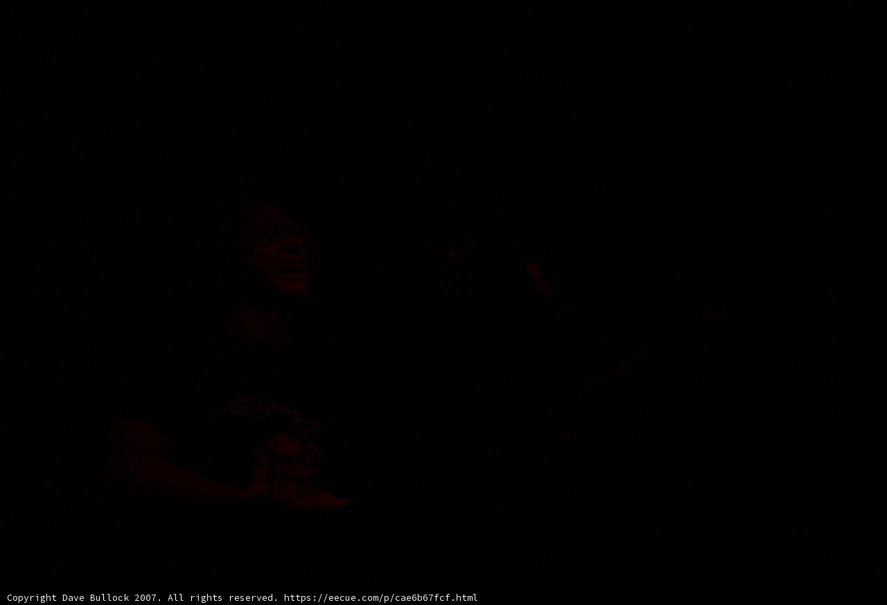 Silent Shadows