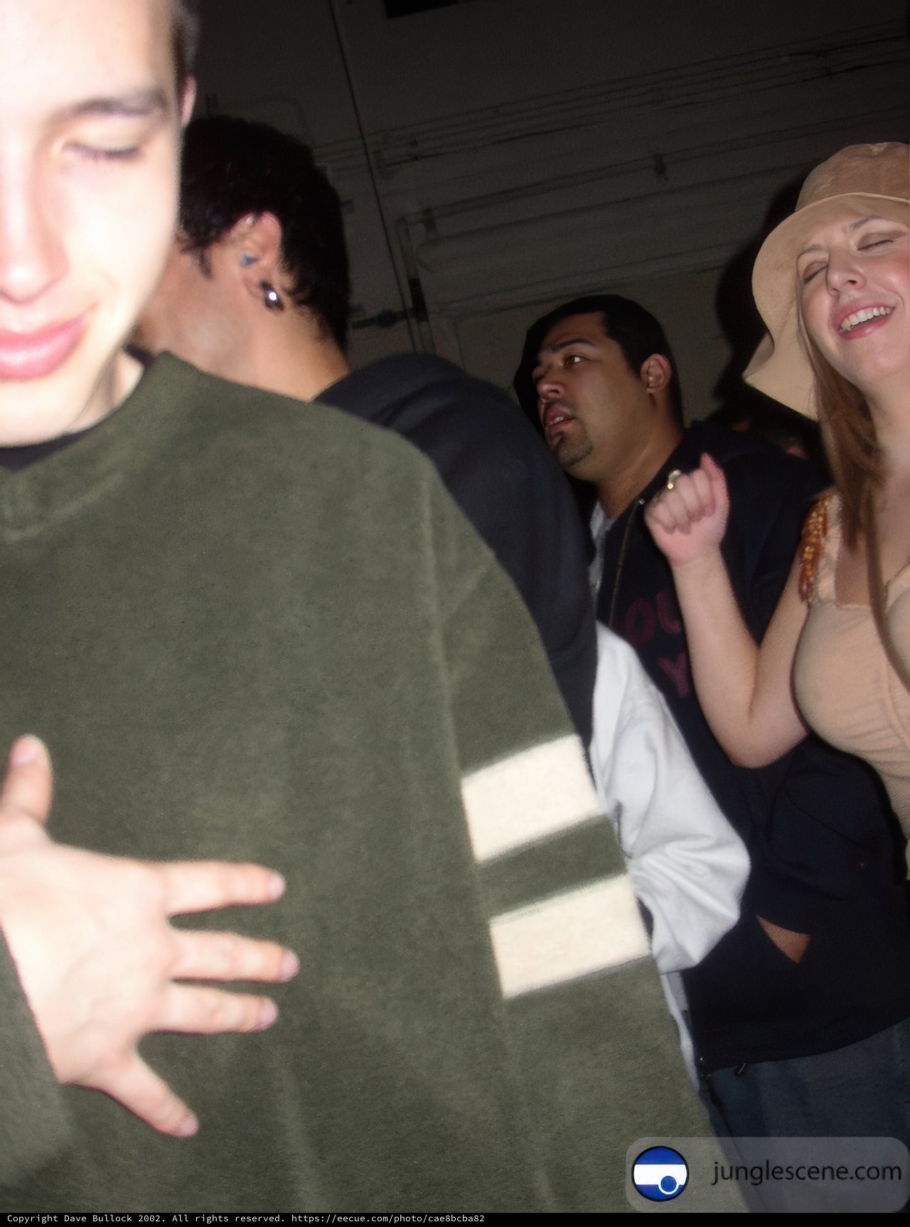Green Sweater Nights